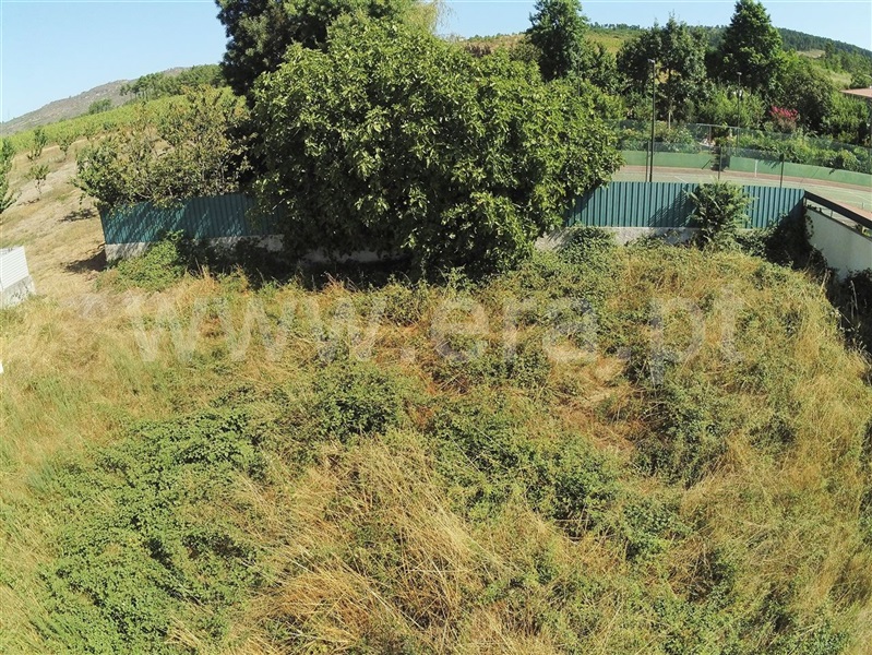 Lote  Sabrosa, São Martinho de Antas e Paradela de Guiães - 1193928 - 8