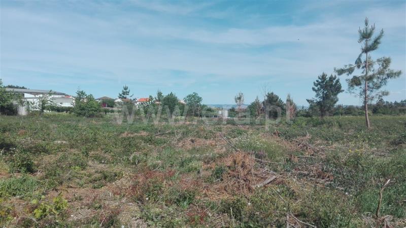 Terreno para Construção / Sabrosa, São Martinho de Antas e Paradela de Guiães