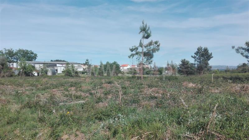 Terreno para Construção  Sabrosa, São Martinho de Antas e Paradela de Guiães - 800596 - 3