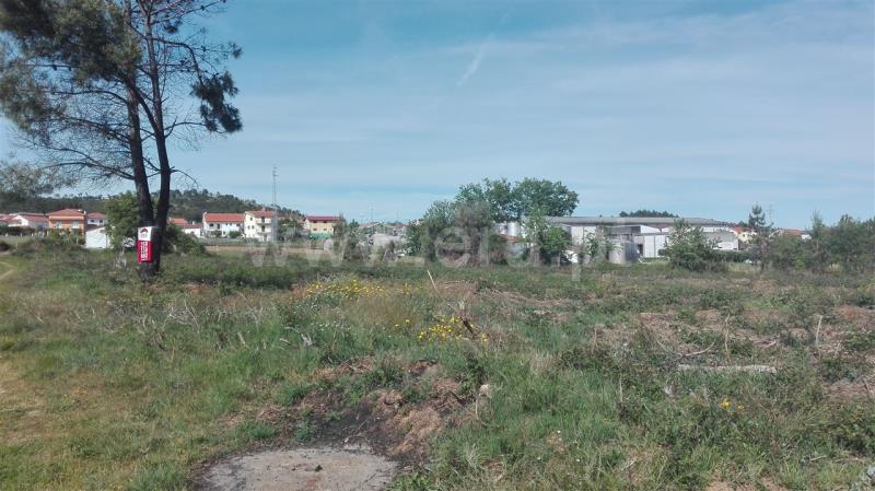 Terreno para Construção  Sabrosa, São Martinho de Antas e Paradela de Guiães - 800596 - 4
