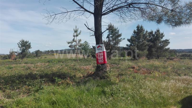 Terreno para Construção  Sabrosa, São Martinho de Antas e Paradela de Guiães - 800596 - 5