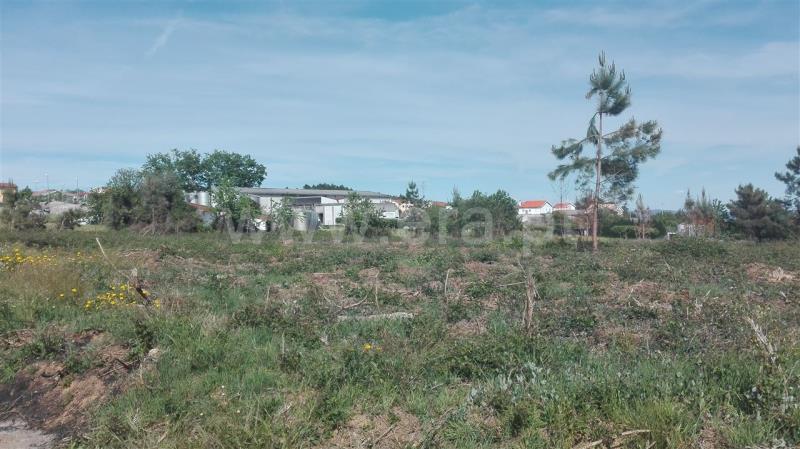 Terreno para Construção  Sabrosa, São Martinho de Antas e Paradela de Guiães - 800596 - 6