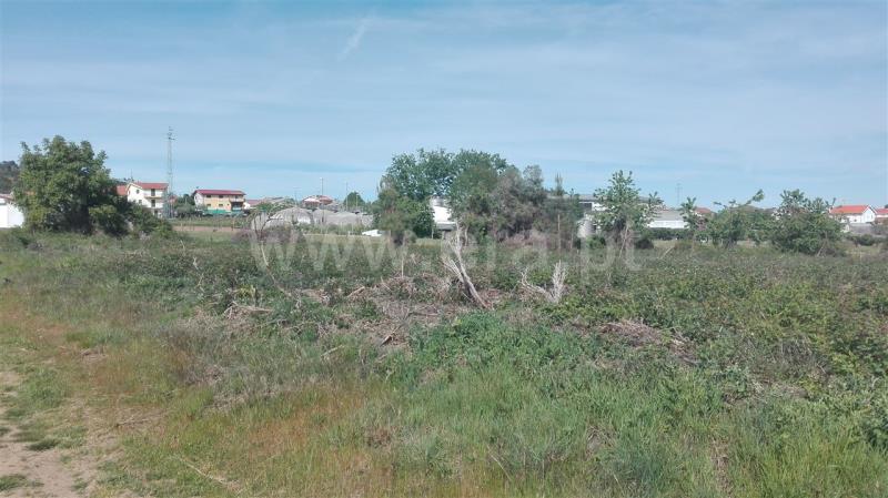 Terreno para Construção  Sabrosa, São Martinho de Antas e Paradela de Guiães - 800596 - 7