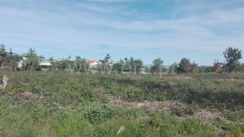 Terreno para Construção  Sabrosa, São Martinho de Antas e Paradela de Guiães - 800596 - 8
