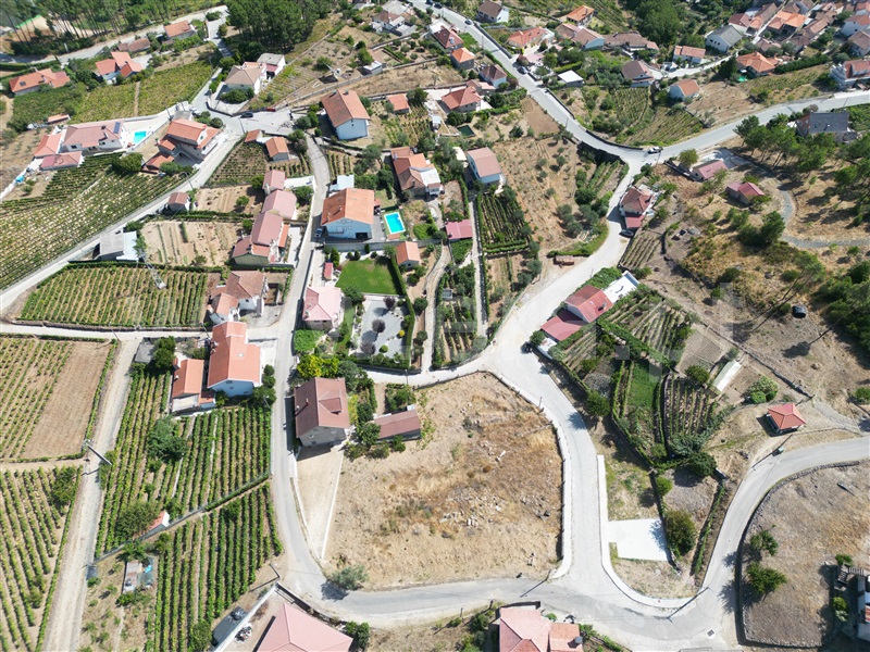 Terreno para Construção / Sabrosa, Souto Maior