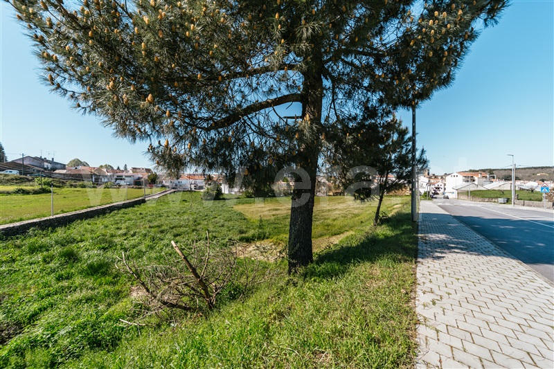 Terreno para Construção  Sabugal, Sabugal - 1450709 - 12