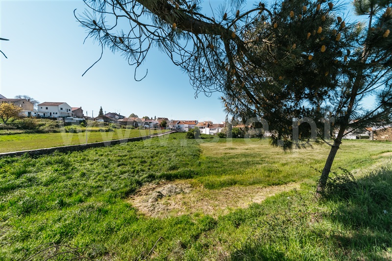 Terreno para Construção  Sabugal, Sabugal - 1450709 - 13