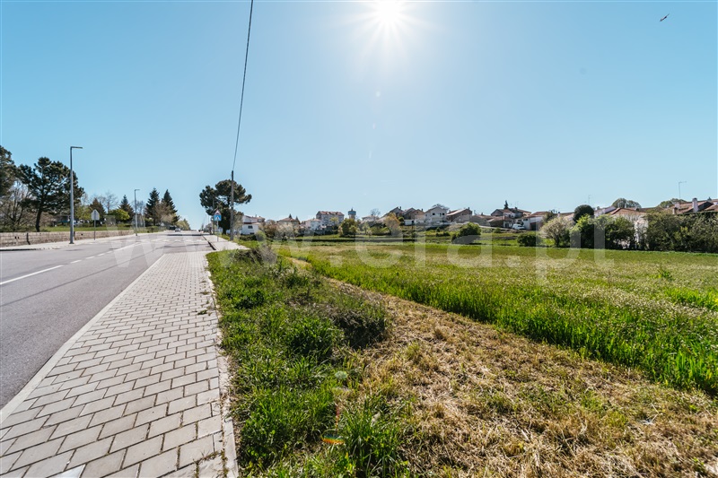 Terreno para Construção  Sabugal, Sabugal - 1450709 - 16