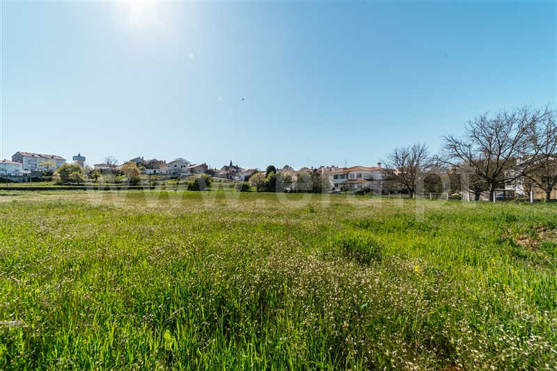 Terreno para Construção  Sabugal, Sabugal - 1450709 - 17