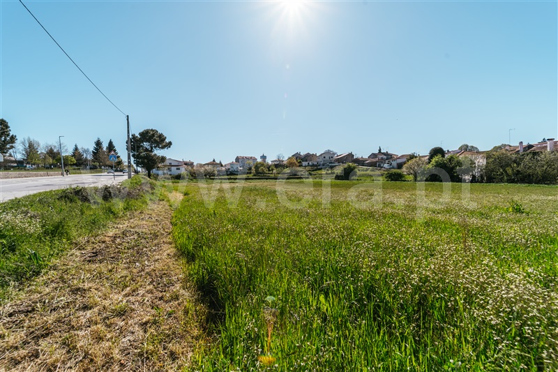 Terreno para Construção  Sabugal, Sabugal - 1450709 - 18