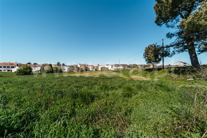 Terreno para Construção  Sabugal, Sabugal - 1450709 - 19