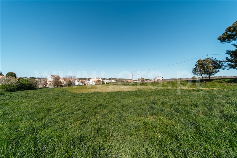 Terreno para Construção  Sabugal, Sabugal - 1450709 - 21