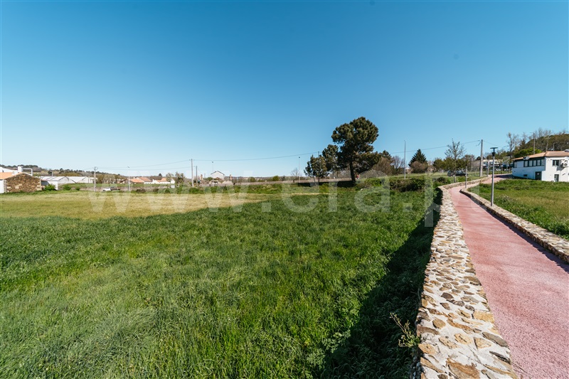 Terreno para Construção  Sabugal, Sabugal - 1450709 - 24