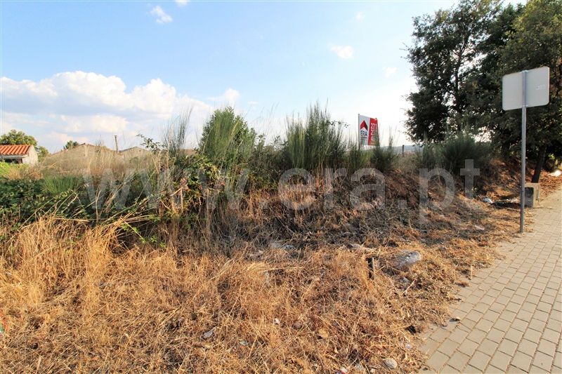 Terreno para Construção  Sabugal, Sabugal - 592609 - 2