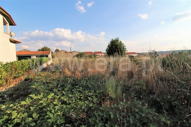 Terreno para Construção  Sabugal, Sabugal - 592609 - 10