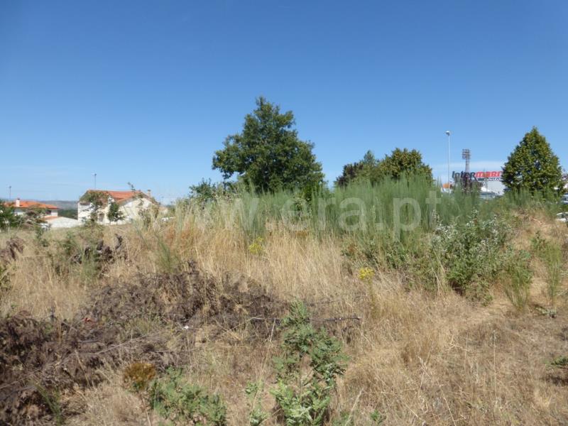 Terreno para Construção  Sabugal, Sabugal - 592609 - 7