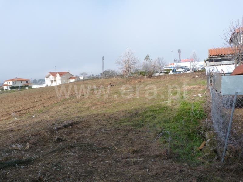 Terreno para Construção  Sabugal, Sabugal - 592609 - 8