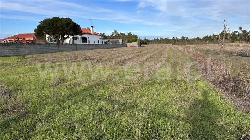 Terreno para Construção / Salvaterra de Magos, Glória do Ribatejo e Granho