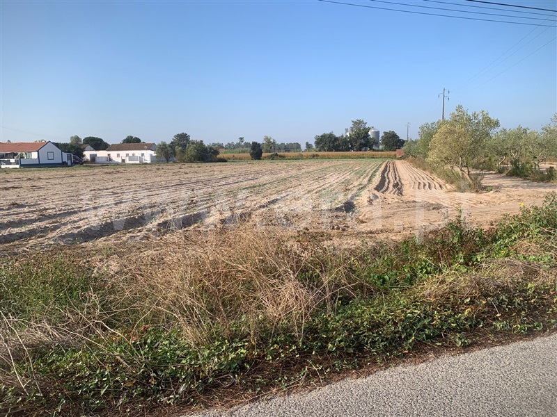 Terreno para Construção / Salvaterra de Magos, Salvaterra de Magos e Foros de Salvaterra