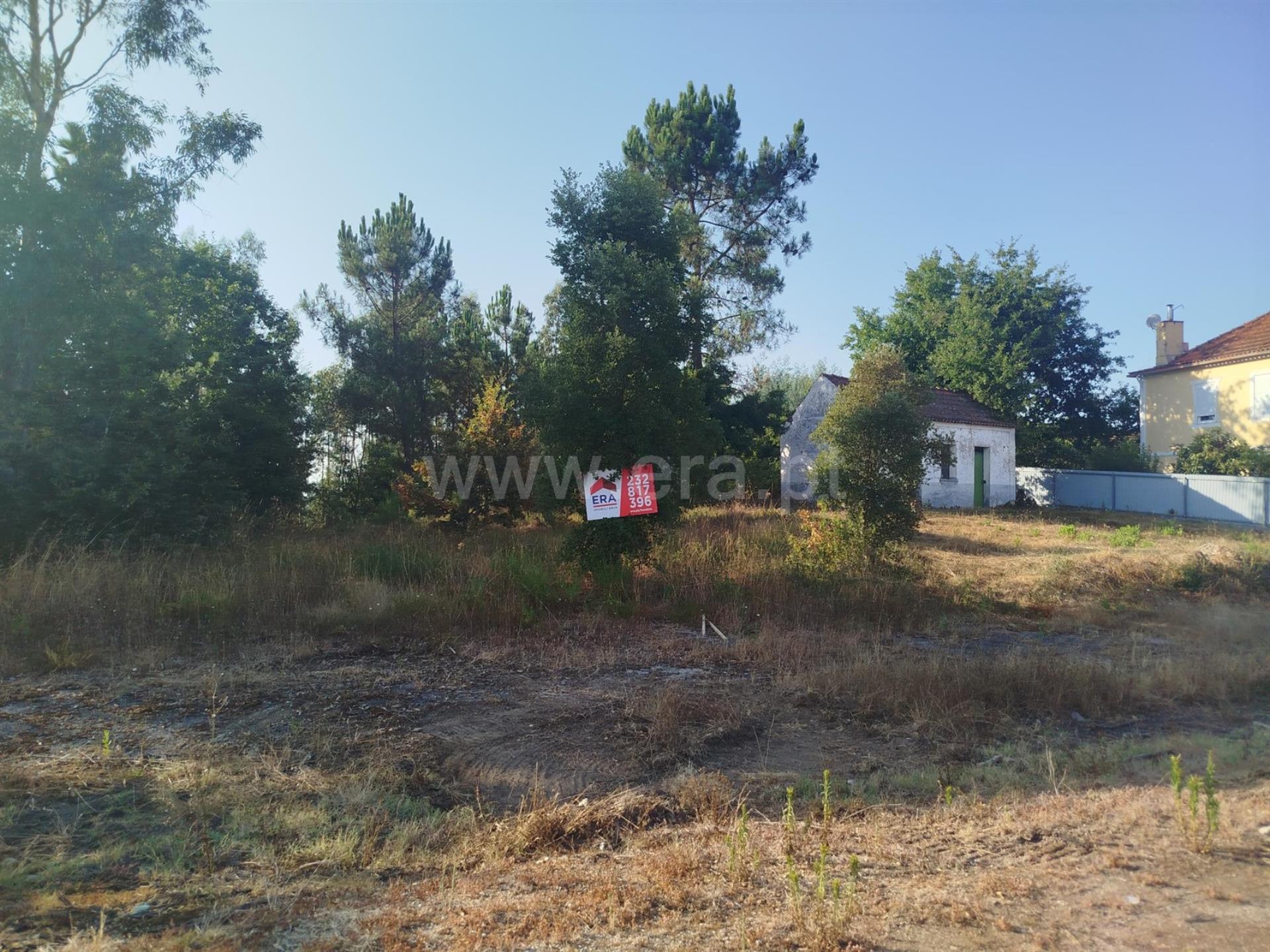 Terreno em Santa Comba Dão