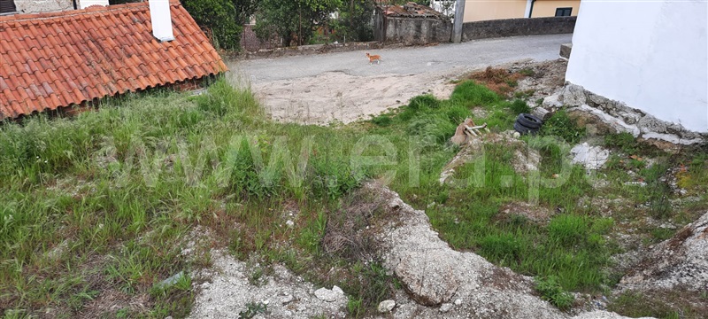 Terreno para Construção  Santa Comba Dão, Treixedo e Nagozela - 1165391 - 5