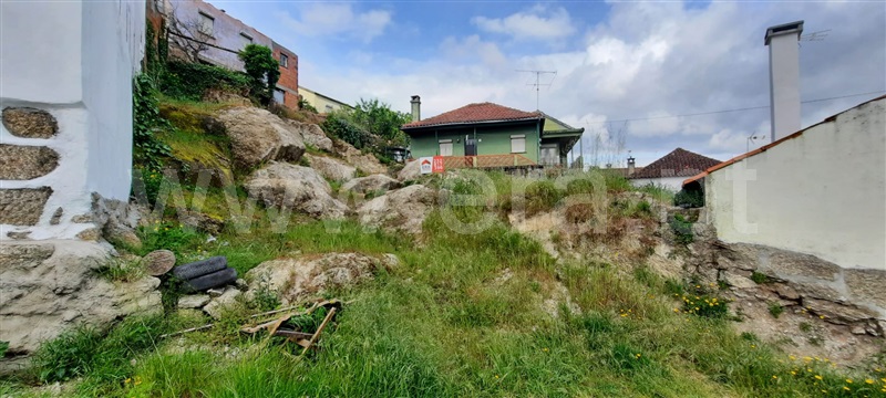 Terreno para Construção  Santa Comba Dão, Treixedo e Nagozela - 1165391 - 3