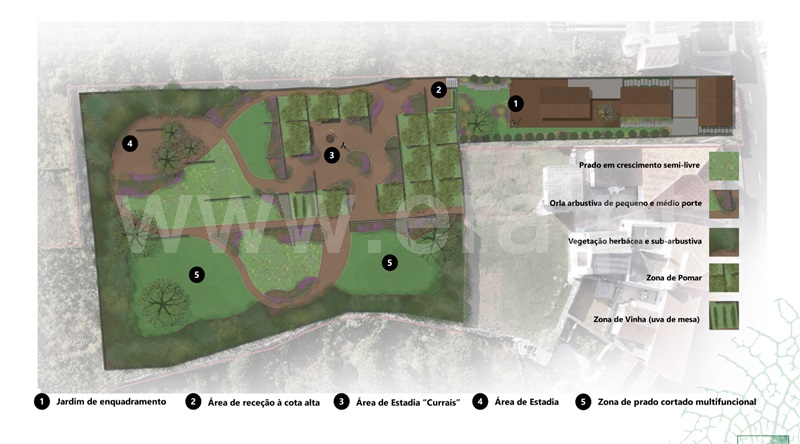 Terreno para Construção  com Rústico Santa Cruz da Graciosa - 1466243 - 11