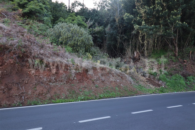 Terreno para Construção / Santa Cruz, Santa Cruz