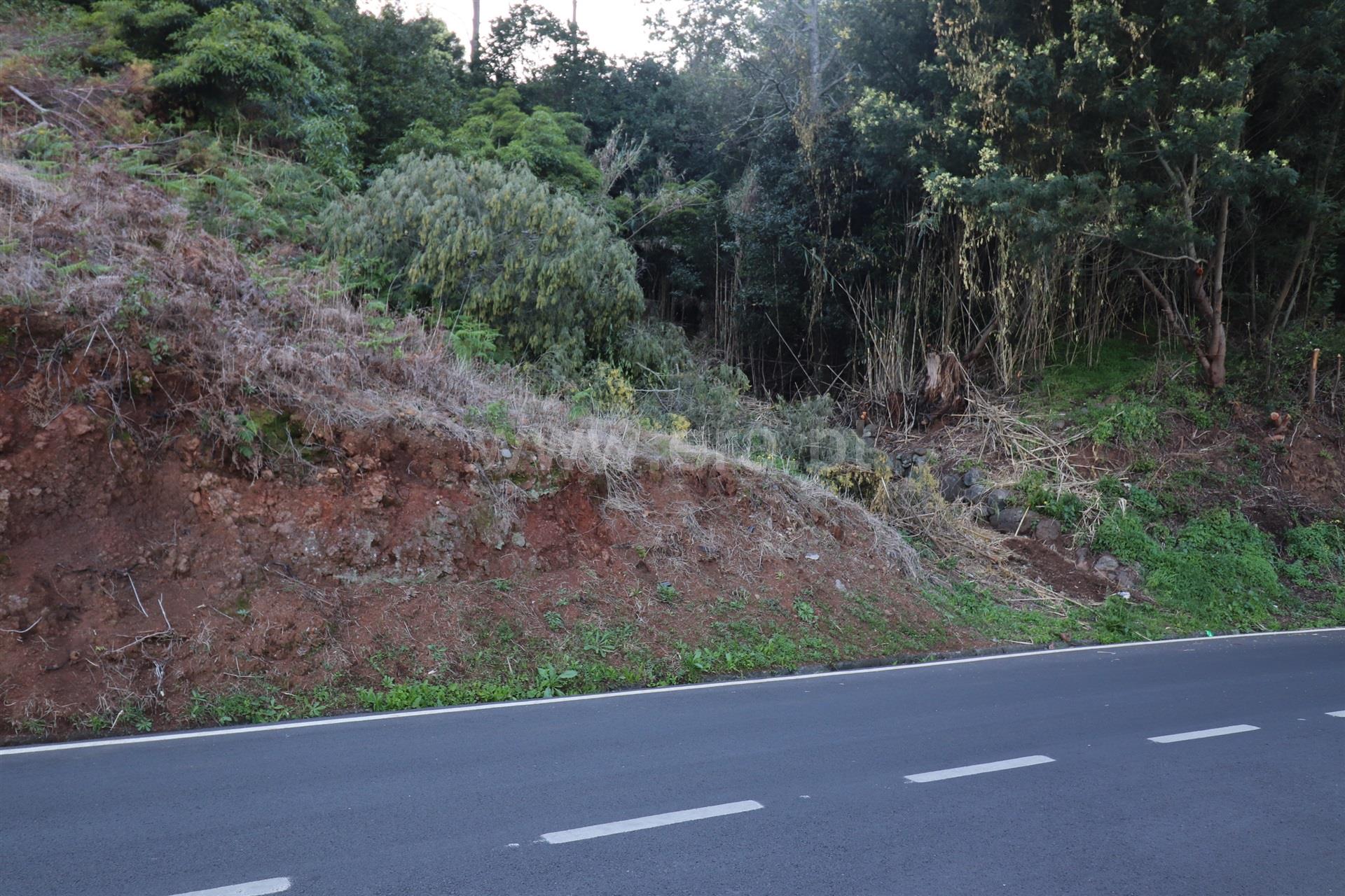 Terreno em Santa Cruz