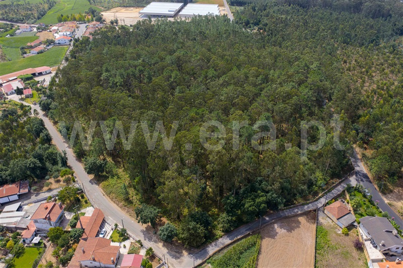Terreno para Construção  Santa Maria da Feira, Agoncida - 1500253 - 2