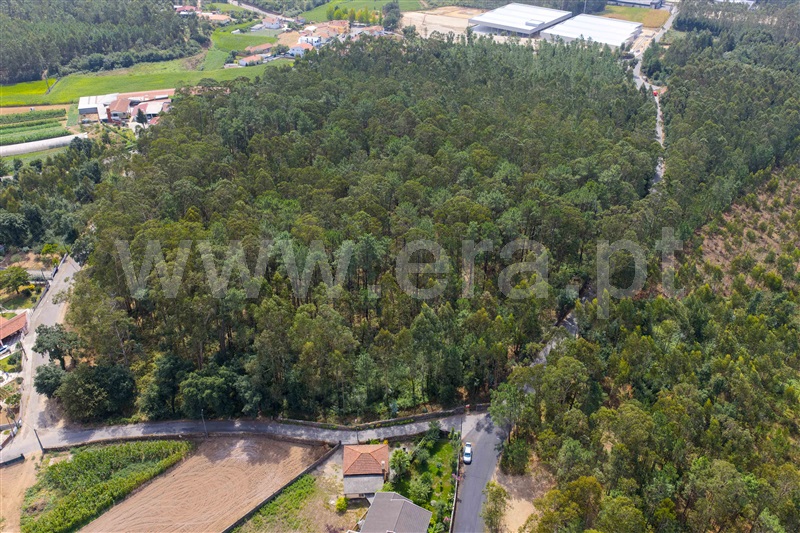 Terreno para Construção  Santa Maria da Feira, Agoncida - 1500253 - 4