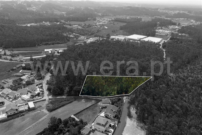 Terreno para Construção  Santa Maria da Feira, Agoncida - 1500253 - 5