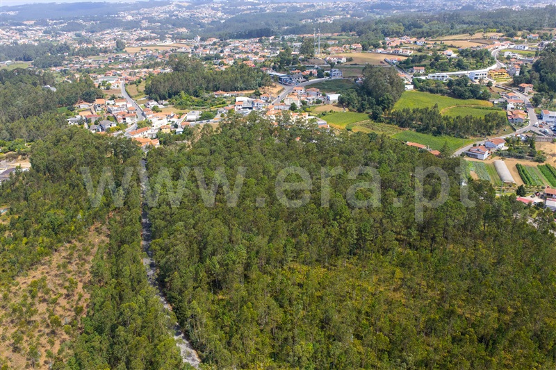 Terreno para Construção  Santa Maria da Feira, Agoncida - 1500253 - 7