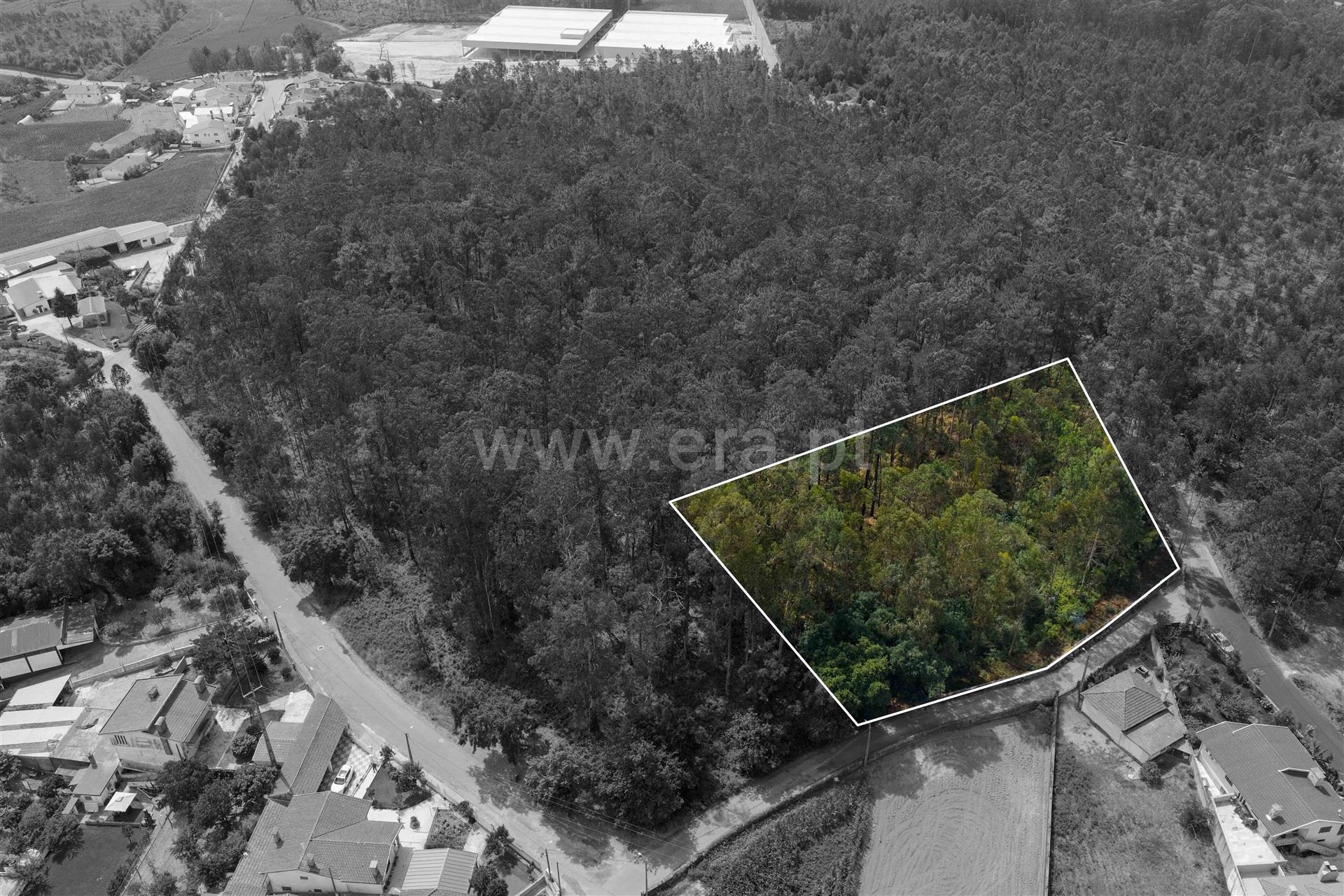 Land for sale in Santa Maria da Feira, Portugal — €199,000