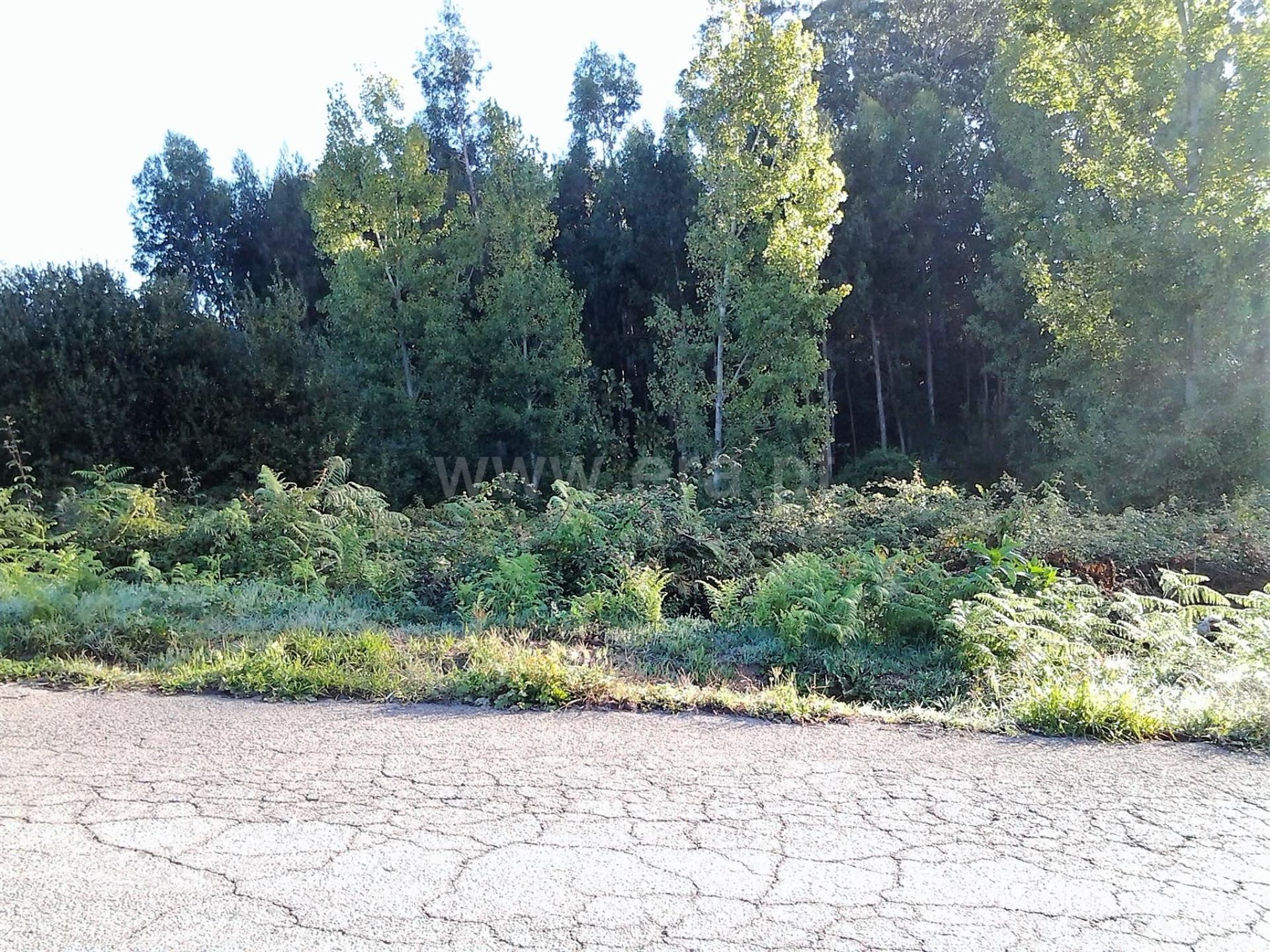 Land for sale in Santa Maria da Feira, Portugal — €120,000