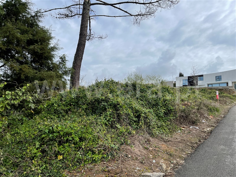 Terreno para Construção  Santa Maria da Feira, Arrifana - 1259357 - 1