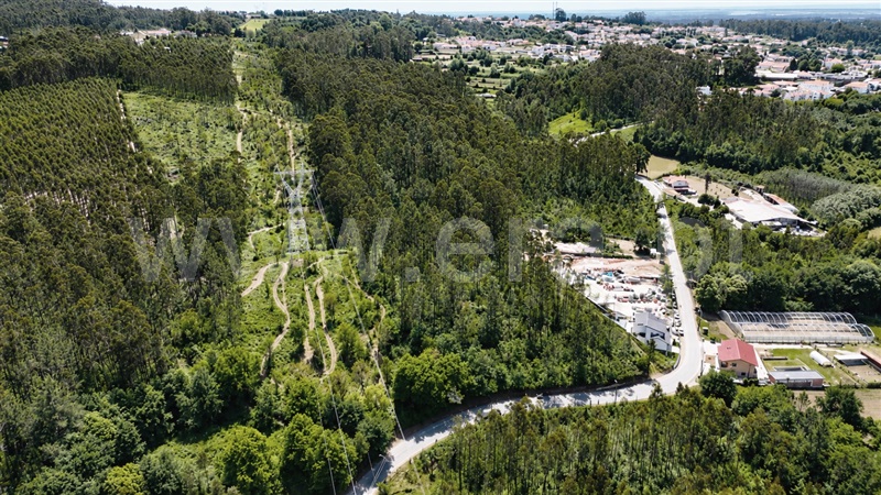 Terreno para Construção / Santa Maria da Feira, Arrifana