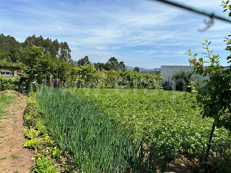 Terreno para Construção  Santa Maria da Feira, Caldas S. Jorge / Guisande - 1402347 - 2