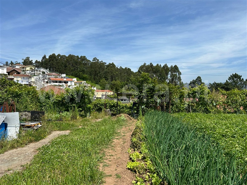 Terreno para Construção  Santa Maria da Feira, Caldas S. Jorge / Guisande - 1402347 - 3