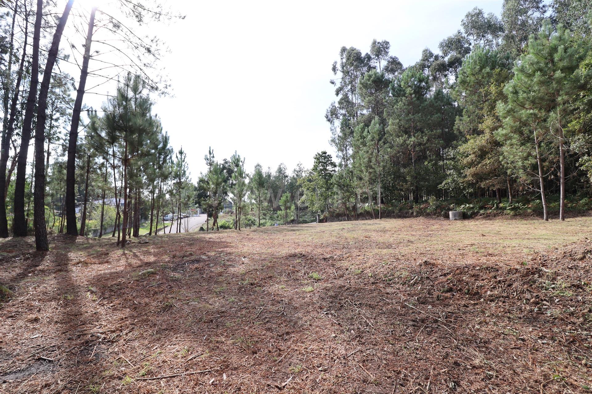 Land for sale in Santa Maria da Feira, Portugal — €97,500