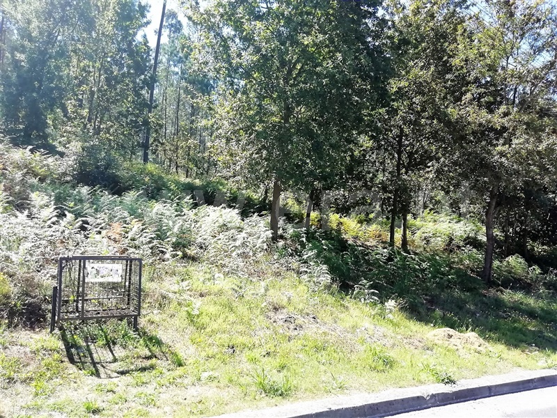 Terreno para Construção  Santa Maria da Feira, Canedo, Vale e Vila Maior - 1115207 - 5