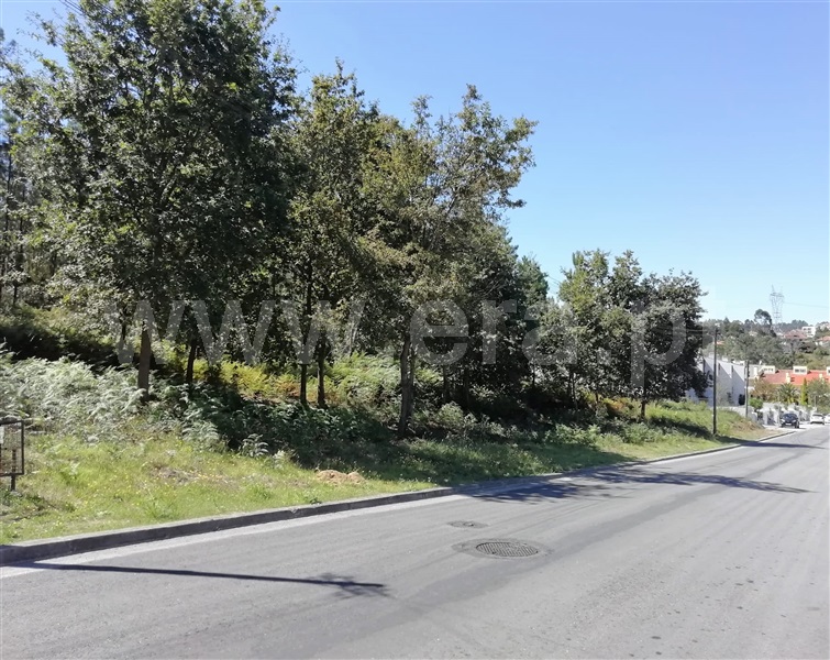 Terreno para Construção  Santa Maria da Feira, Canedo, Vale e Vila Maior - 1115207 - 4