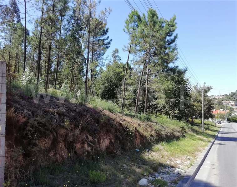 Terreno para Construção  Santa Maria da Feira, Canedo, Vale e Vila Maior - 1115207 - 6