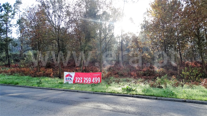 Terreno para Construção  Santa Maria da Feira, Canedo, Vale e Vila Maior - 1115207 - 7