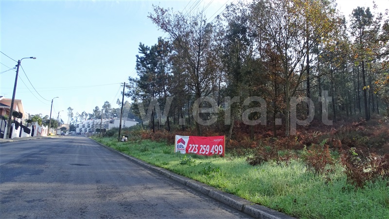 Terreno para Construção / Santa Maria da Feira, Canedo, Vale e Vila Maior
