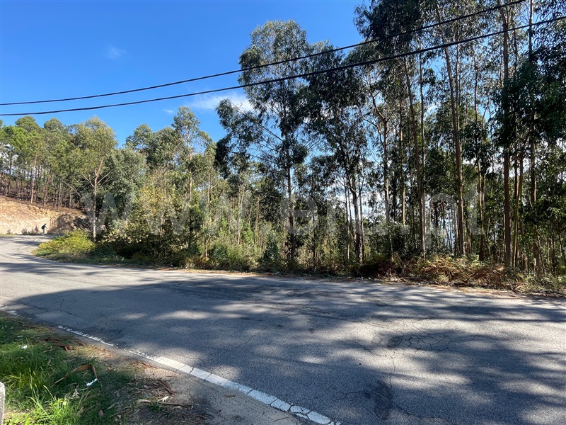 Terreno para Construção / Santa Maria da Feira, Canedo, Vale e Vila Maior