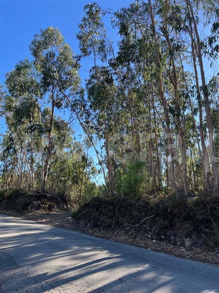 Terreno para Construção / Santa Maria da Feira, Canedo, Vale e Vila Maior