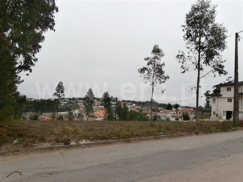 Terreno para Construção / Santa Maria da Feira, Escapães / Pigeiros