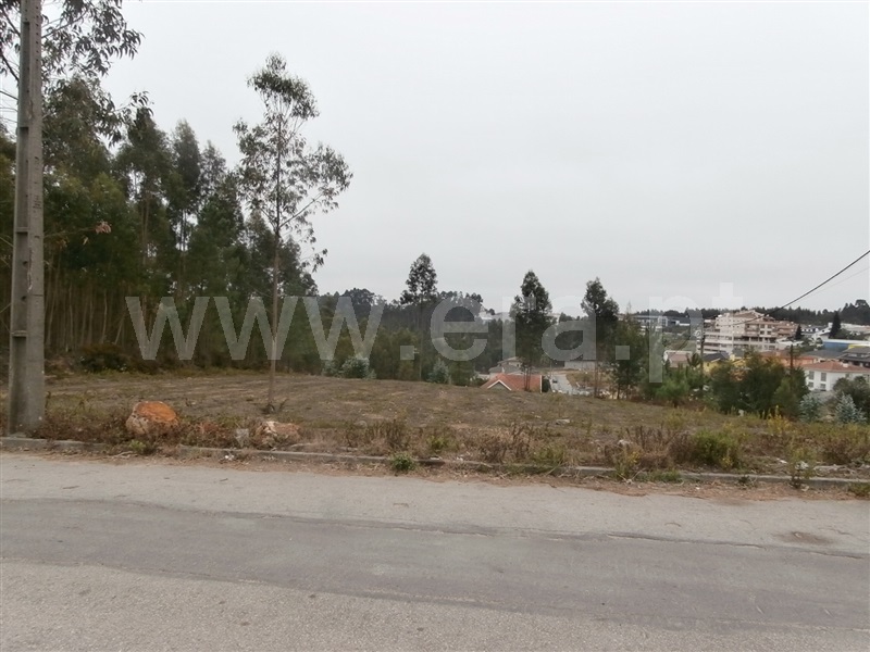 Terreno para Construção / Santa Maria da Feira, Escapães / Pigeiros