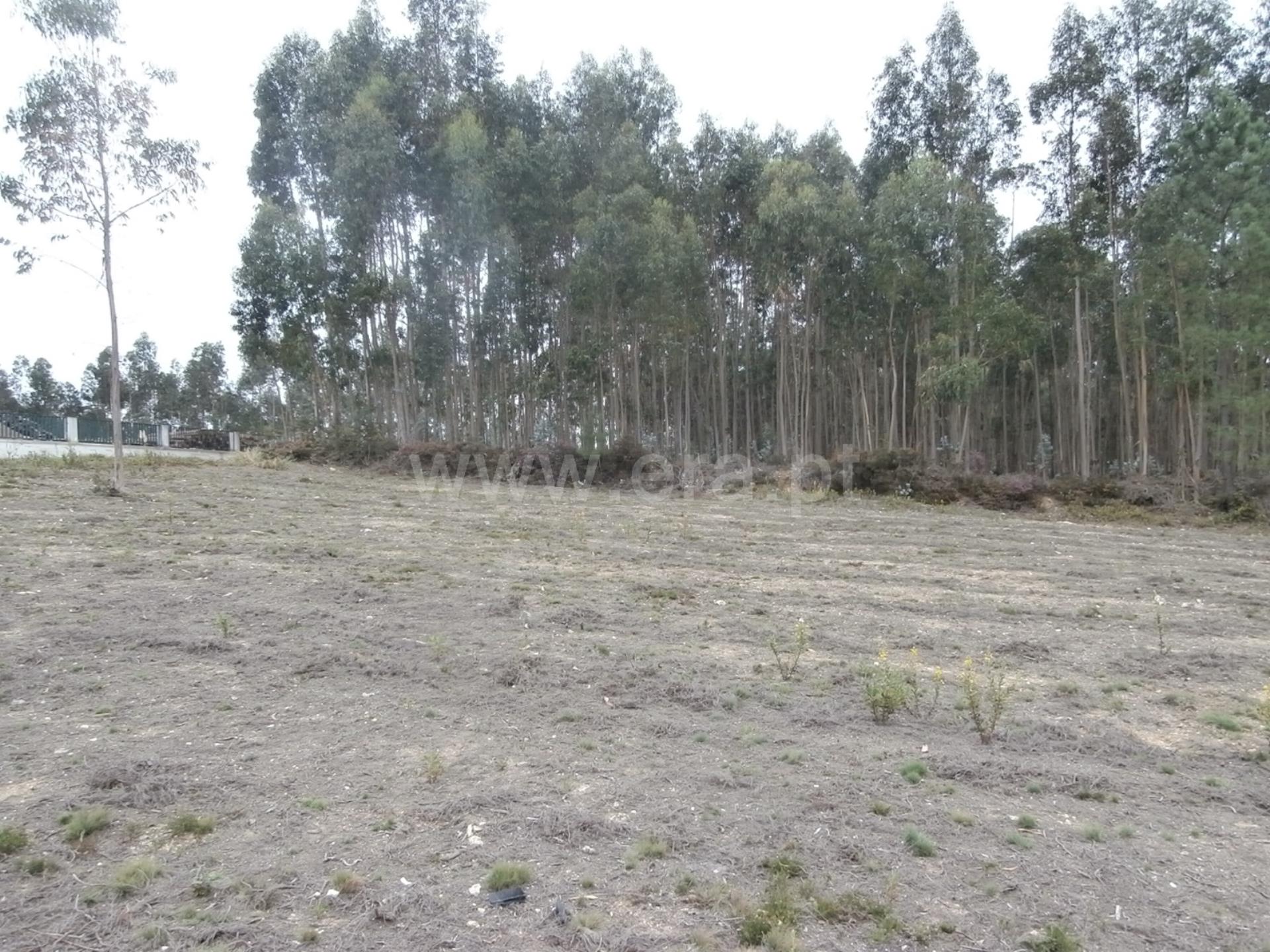 Land for sale in Santa Maria da Feira, Portugal — €58,000